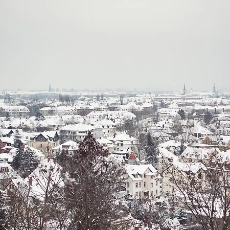 Bergwirtschaft Wilder Mann Und Restaurant 4*