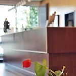 Bergwirtschaft Wilder Mann Und Restaurant 4* دريسدن