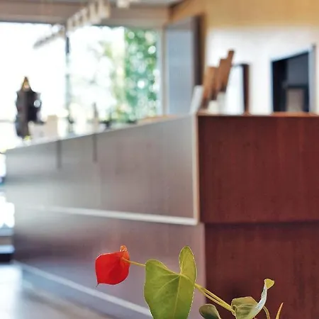 Bergwirtschaft Wilder Mann Und Restaurant 4* Dresda