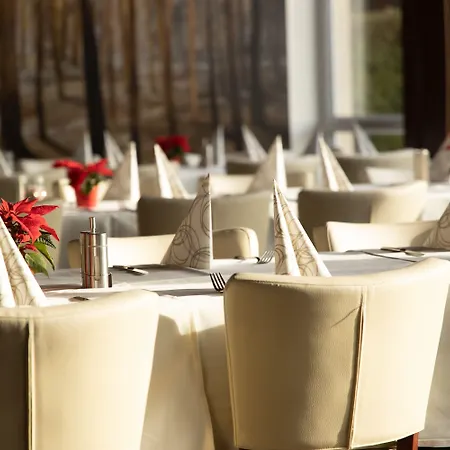 Bergwirtschaft Wilder Mann Und Restaurant