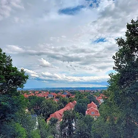 Bergwirtschaft Wilder Mann Und Restaurant Dresden