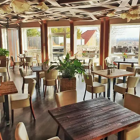 Bergwirtschaft Wilder Mann Und Restaurant 4* Dresden