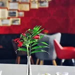 Bergwirtschaft Wilder Mann Und Restaurant 4* Drezno